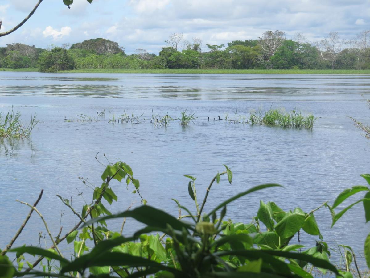 Hotel Eware Refugio Amazonico Puerto Nariño Exteriér fotografie