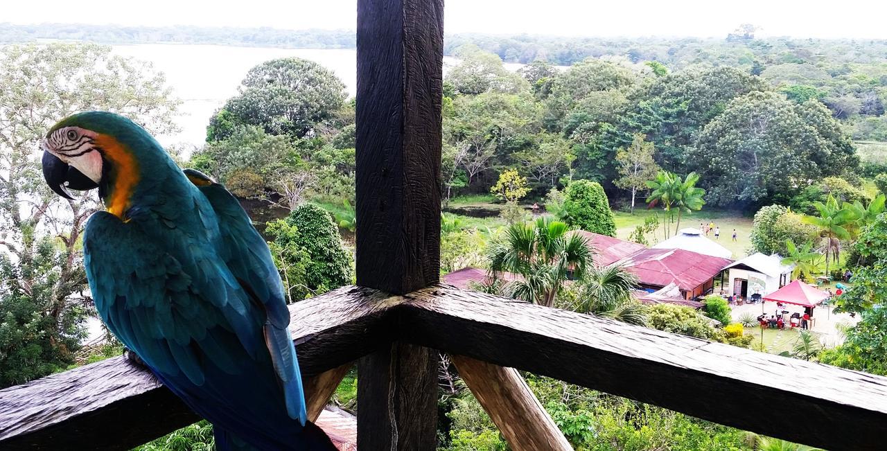 Hotel Eware Refugio Amazonico Puerto Nariño Exteriér fotografie