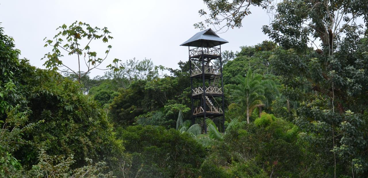 Hotel Eware Refugio Amazonico Puerto Nariño Exteriér fotografie