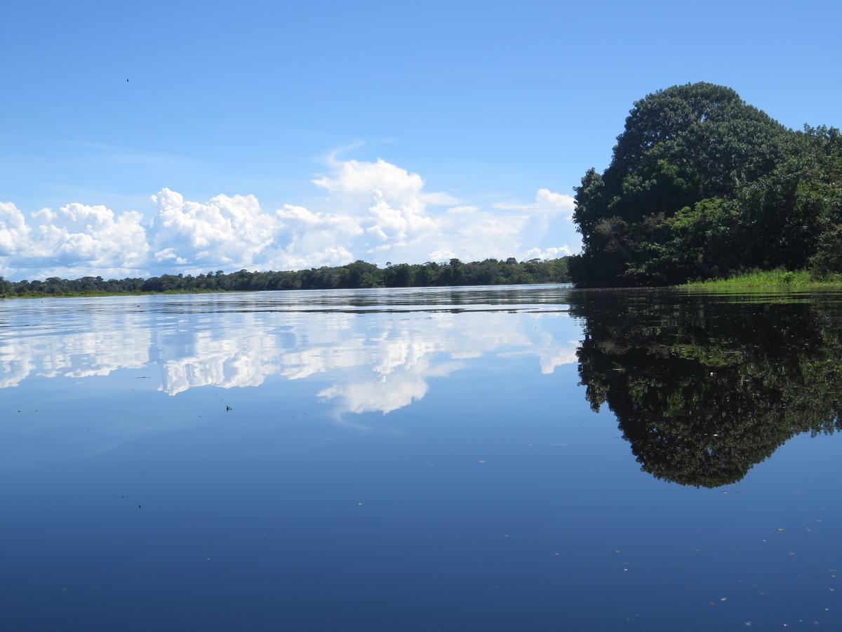 Hotel Eware Refugio Amazonico Puerto Nariño Exteriér fotografie